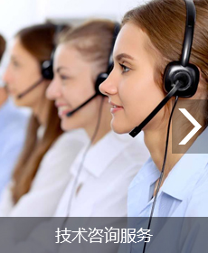 技术咨询服务